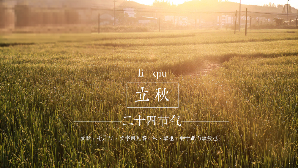 立秋节气应该吃什么食物？