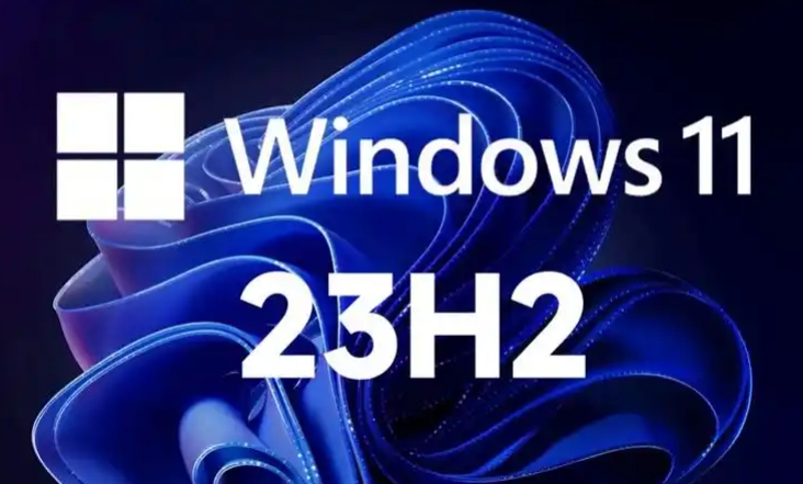 Windows 11 23H2 64位 稳定版截图
