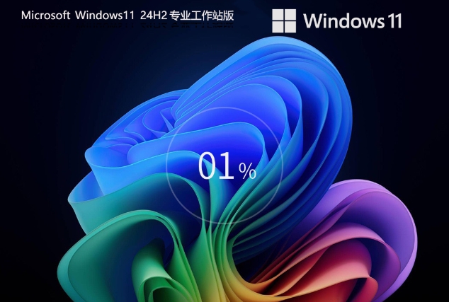 Windows 11 24H2 64位专业工作站版,Windows 11 24H2 64位专业工作站版