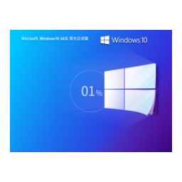 Windows10 22H2 19045.5965 X64 专业版怎么安装-Windows10 22H2 19045.5965 X64 专业版安装的方法