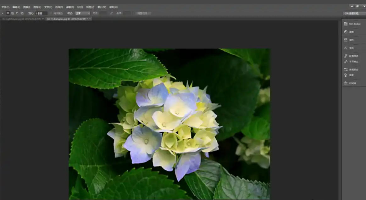 Photoshop CS6,Photoshop CS6下载