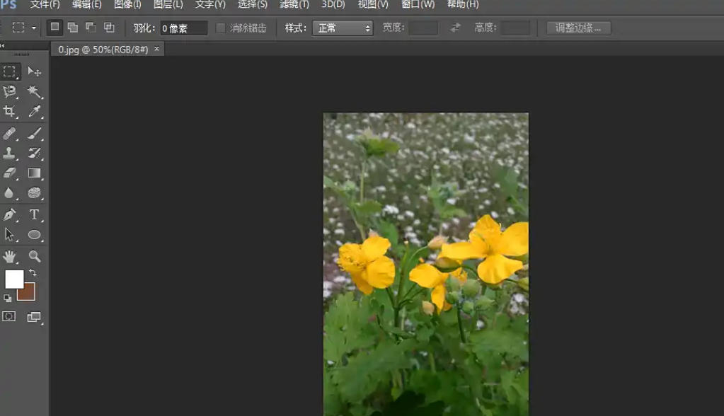 Photoshop CS6,Photoshop CS6下载