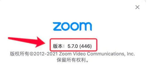 zoom下载