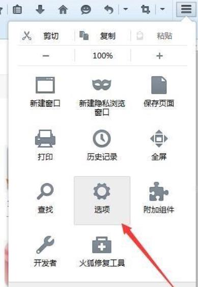 firefox火狐浏览器不能打开pdf文档解决方法
