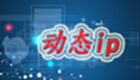 动态ip