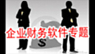 企业财务软件专题