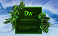 Adobe Dreamweaver CC 2017段首LOGO