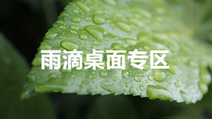 雨滴桌面专区