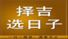 选日子软件专题