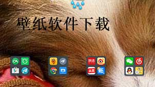 壁纸软件下载