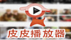 皮皮播放器专题