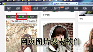 网页图片搜索软件