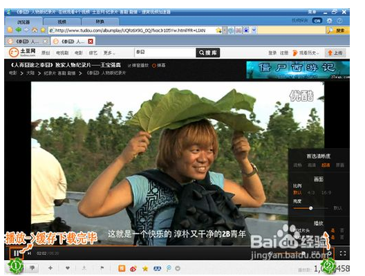 维棠FLV视频下载软件怎么使用
