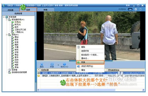维棠FLV视频下载软件软件下载