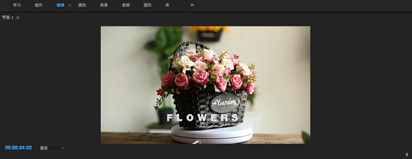 Adobe premiere pro CC2019在线使用网页版 Adobe premiere pro CC2019截图