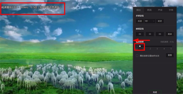 爱奇艺万能播放器怎么样 爱奇艺万能播放器截图