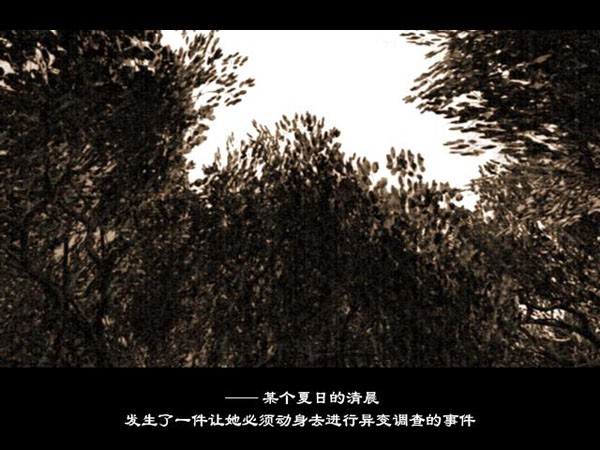 东方绯想天电脑版 东方绯想天截图