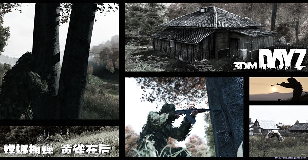 dayz独立版