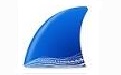 Wireshark x64段首LOGO