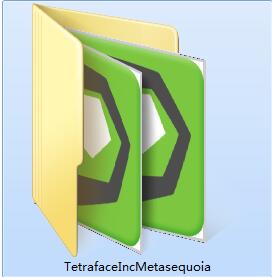 Tetraface Inc Metasequoia截图