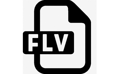 FLV视频播放器段首LOGO
