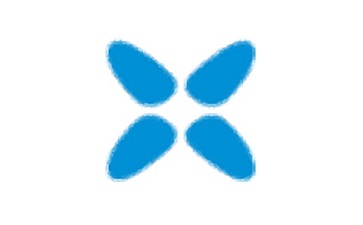 Xvid Video Codec段首LOGO