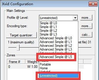 Xvid Video Codec截图