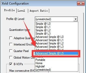 Xvid Video Codec截图