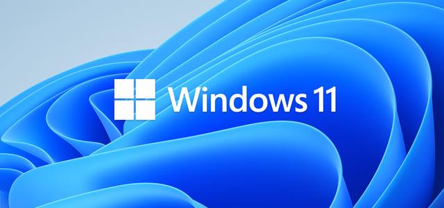 番茄花园Windows11系统64位截图