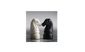 国际象棋大战段首LOGO