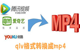 qlv格式转换成mp4段首LOGO