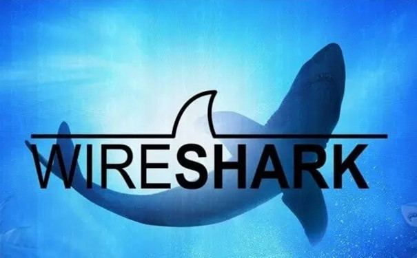 Wiresharkpc版 Wireshark截图