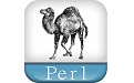 Perl段首LOGO