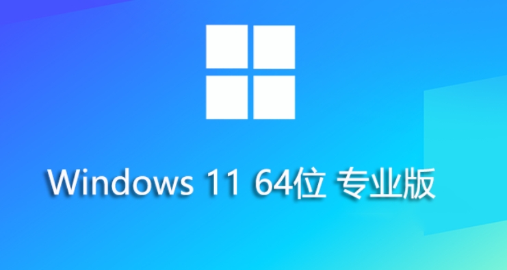 Win11 23H2 64位专业精简版截图