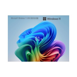 Windows11 24H2 26100.3915 X64正式版