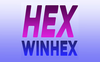 WinHex段首LOGO