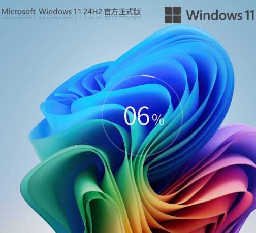 Windows11 24H2 26100.3775 X64 正式版