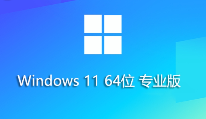 Ghost Windows 11 专业版截图