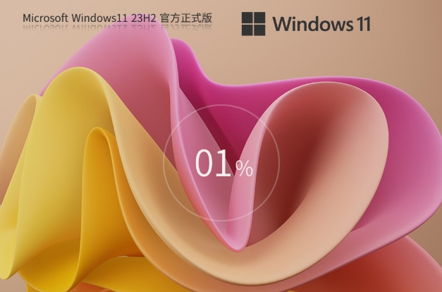 Windows11 23H2 22631.5335 X64截图