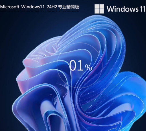 Windows11 24H2 64位 专业精简版镜像