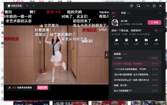 bilibili视频截图