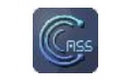 南方cass段首LOGO