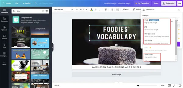 Canva可画MAC版截图
