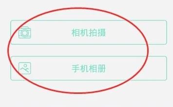 智学网学生端截图