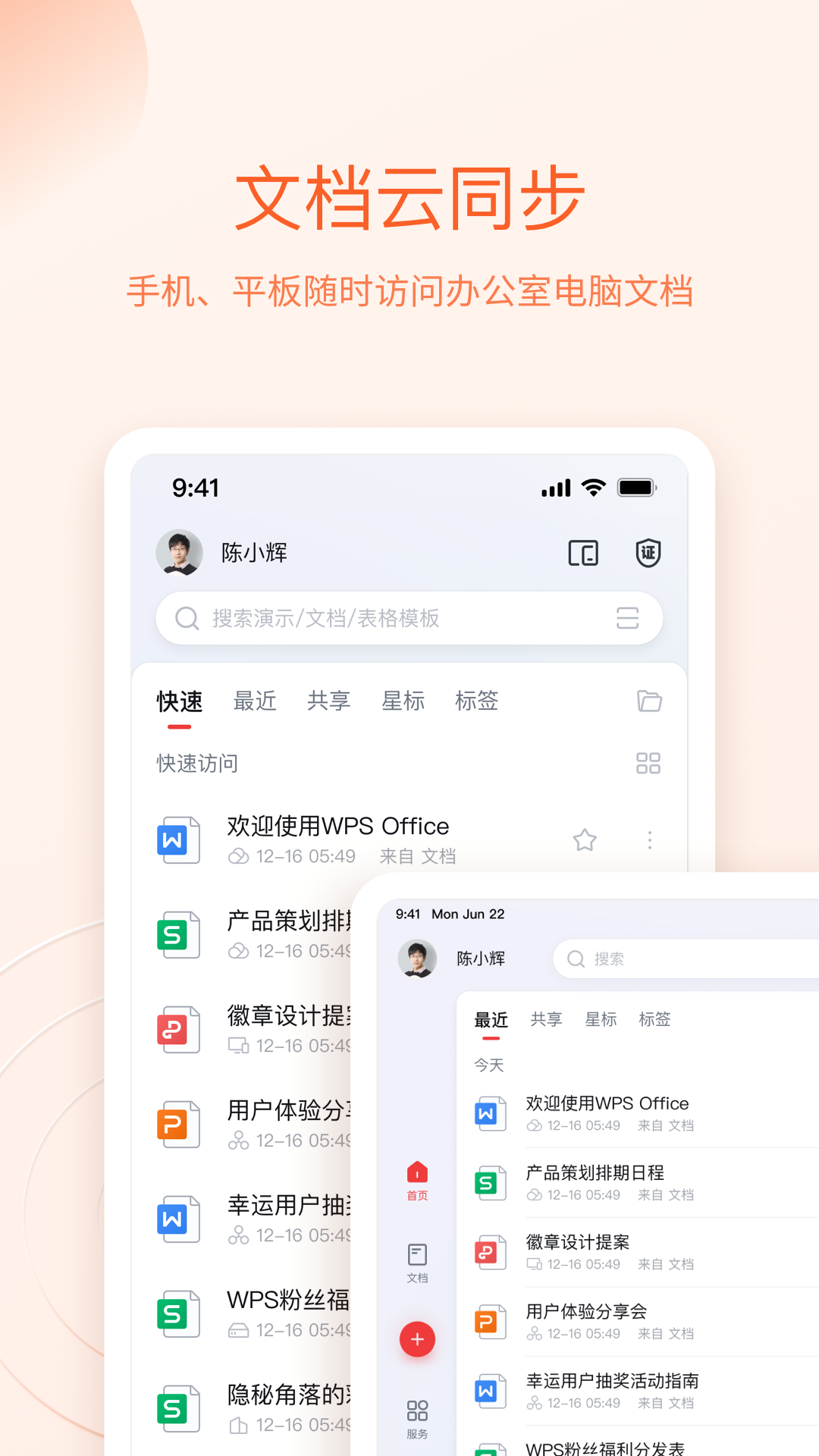 WPS政府专用版截图
