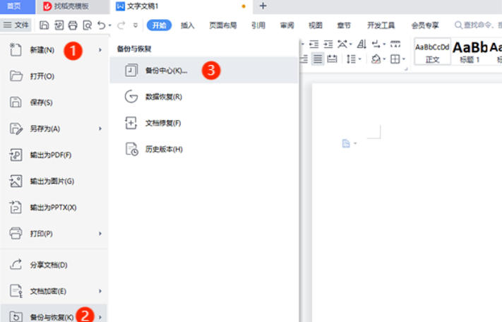 WPS Office 校园版截图