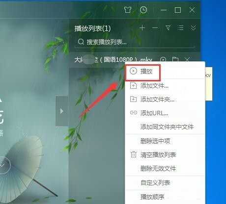 爱奇艺万能播放器截图