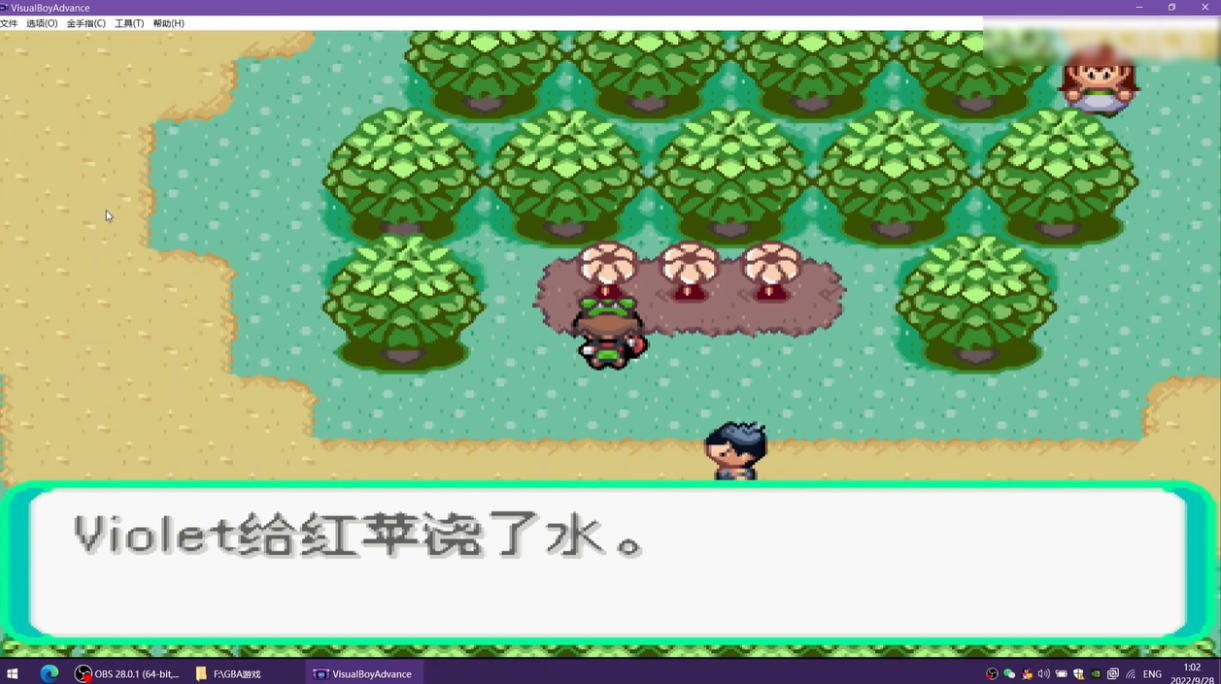 gba中文游戏截图