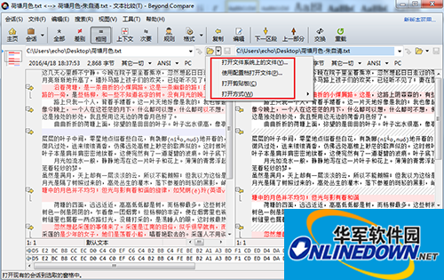 Beyond Compare 4文本比较要注意哪些细节 Beyond Compare 4文本比较要注意哪些细节